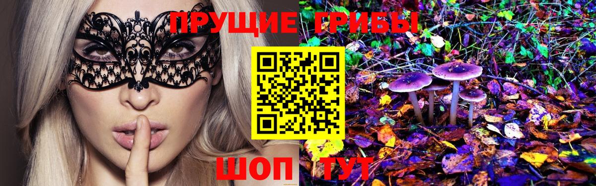 Псилоцибиновые грибы мухоморы Мичуринск