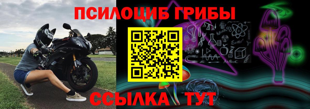 Мичуринск  Псилоцибиновые грибы Psilocybine cubensis  Вход с VPN 